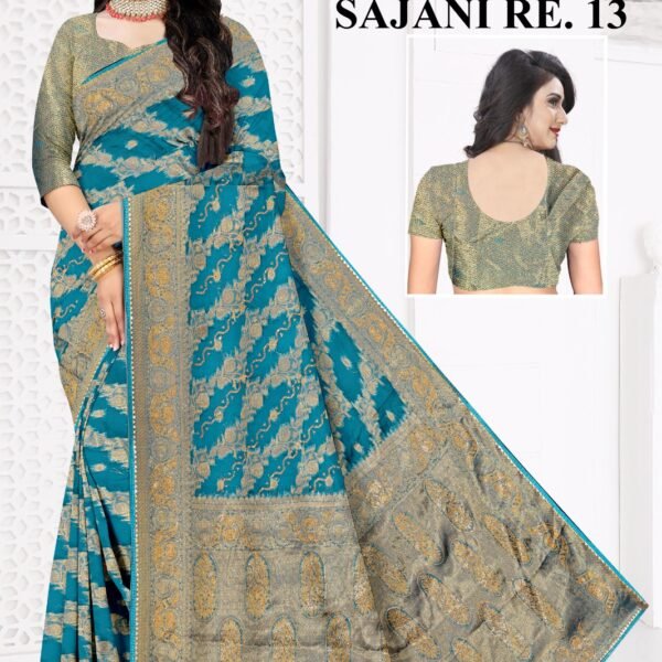 Sajani Re 13